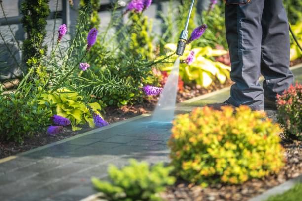 Best Patio and Deck Pressure Washing  in West Hills, PA